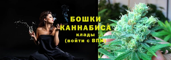 молекула духа Богородск
