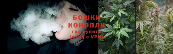 мяу мяу мука Богданович