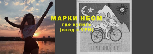 молекула духа Богородск