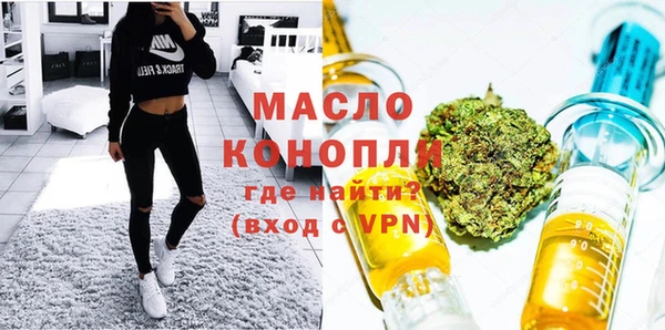 молекула духа Богородск