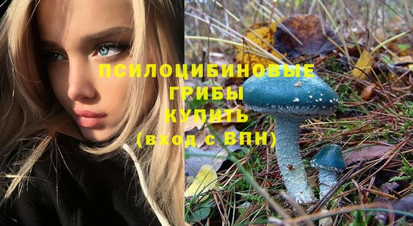 мяу мяу мука Богданович