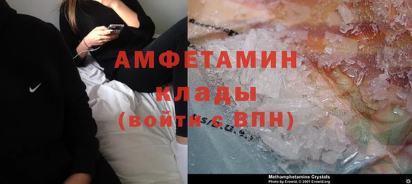 молекула духа Богородск